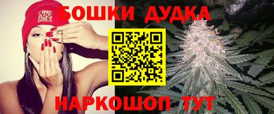 apvp Рузаевка