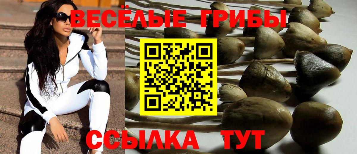 Галлюциногенные грибы GOLDEN TEACHER Нефтекамск